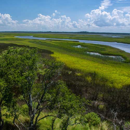 Guana Tolomato Matanzas National Estuarine Research Reserve